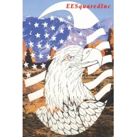 US Flag Eagle Static Cling Window Decal New OVAL 21x33 Patriotic Military Decor   152858922467